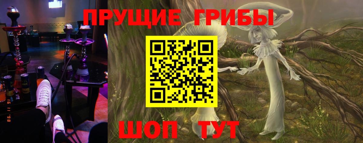 Псилоцибиновые грибы ЛСД  Вход с VPN  Мичуринск 